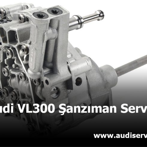 Audi VL 300 Şanzıman Servisi